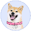 12229