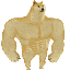14447