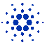 2010