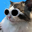 30456