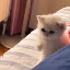 33170